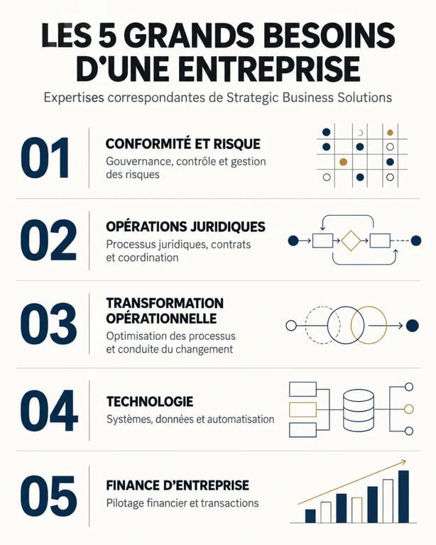Infographie Strategic Business Solutions reliant les besoins d'entreprise aux expertises de conseil