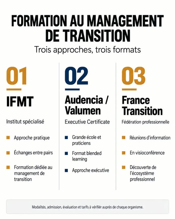 Management de transition formation : comparaison visuelle des approches IFMT, Audencia et France Transition